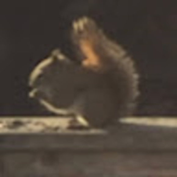 Meet your Posher, Don - Picture 1 of 1